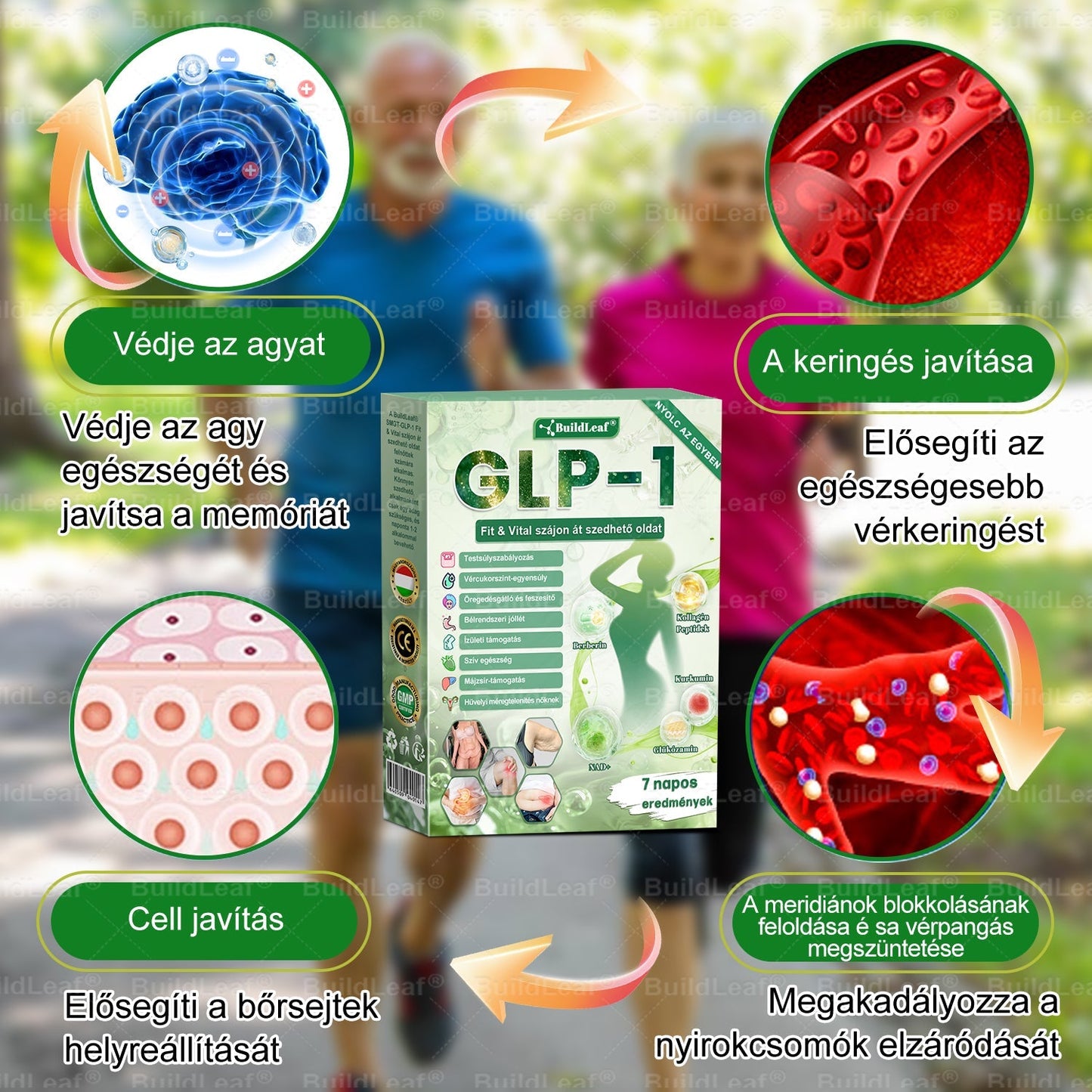 BuildLeaf®🚚 GLP-1 8-az-1-ben Fit &amp; Vital Orális Oldat (Csak napi egyszer, látható változások 7 nap alatt)  Elhízásra, szív- és érrendszeri egészségre, cukorbetegségre, alvási apnoéra, emésztőrendszeri egészségre, ízületi problémákra és még sok másra